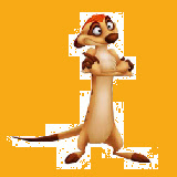 wpf1732107_0f.jpg